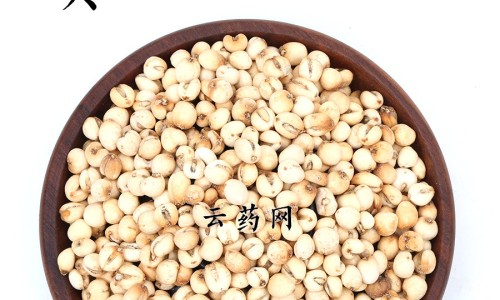 黄葵花的作用和功效网 - 黄葵花的作用和功效葵,黄葵花的副作用